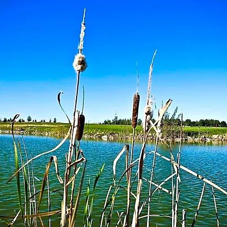 Golf Lisia Polana Hotel