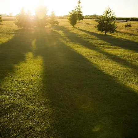 Golf Lisia Polana