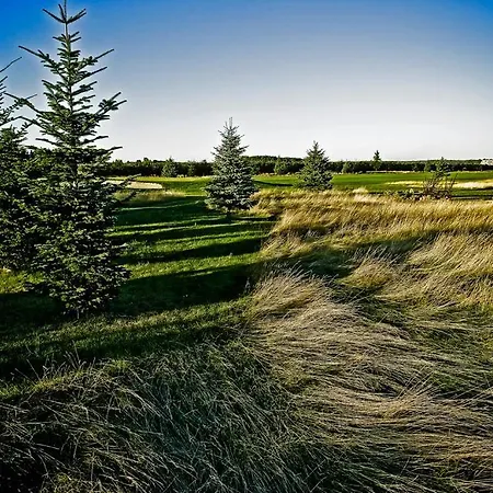 Golf Lisia Polana