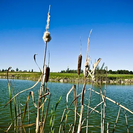 Golf Lisia Polana Pomocnia